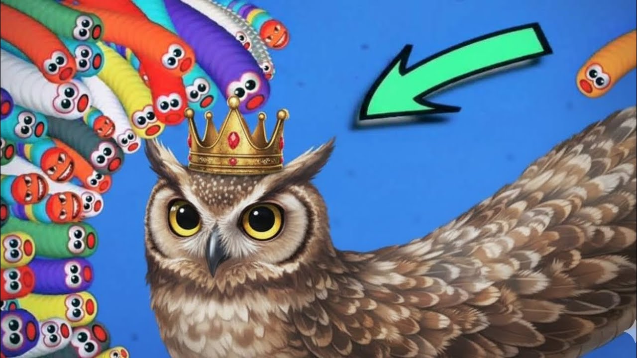 2000000 score on top no.1 with owl