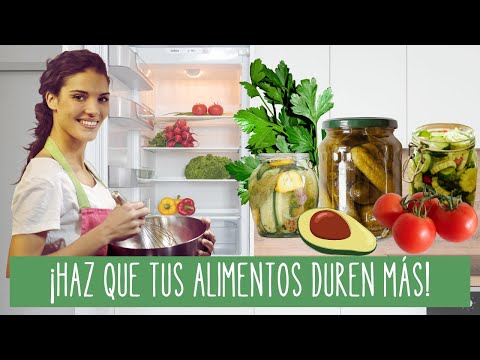 Imagen 1 de Articulo - T&eacute;cnicas profesionales para conservar alimentos frescos m&aacute;s tiempo: Gu&iacute;a completa