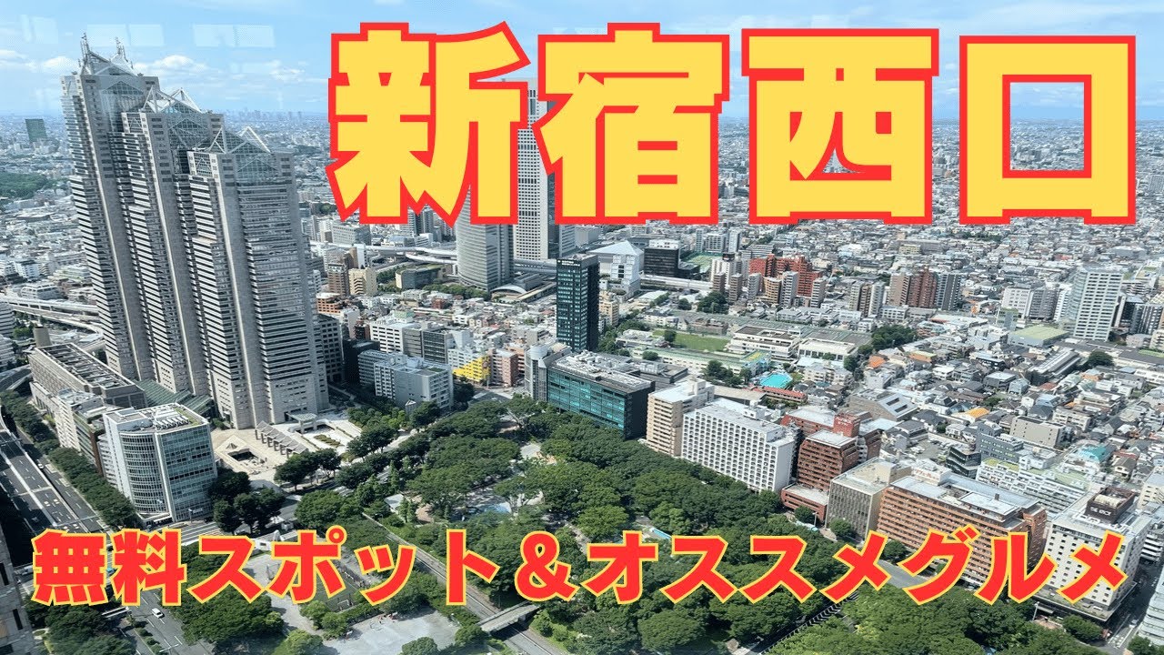 【1人街歩き】新宿西口は無料で楽しめるスポットがいっぱい！お洒落でちょっとリッチなお勧めグルメ！【東京】