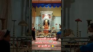 মমতাময়ী মা কালী মায়ের দর্শন .... জয় মা কালী মা 🙏#dipayanblogger ❤️