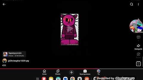 Ok. TMWTL Cat.Exe Don