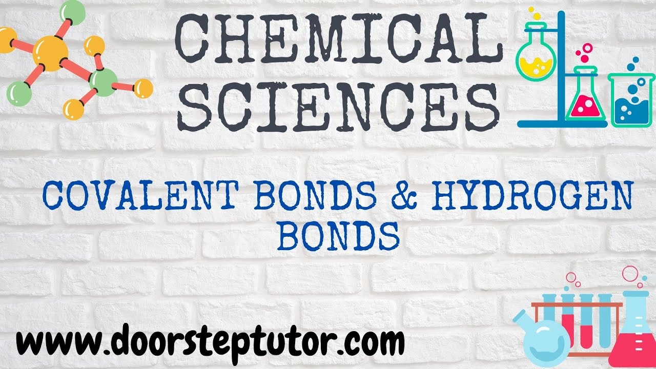 Covalent Bonds & Hydrogen Bonds (Chemistry) Basic Chemistry: Part 6