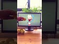 Man Vs Cartoon  meme #boyanddragon #shortvideo  #puppy