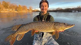 How to Ice Fish For BIG Illinois NORTHERN PIKE! (Crazy Fights)