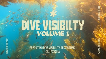 Dive Visibility Part 1