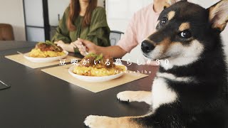 友人が奥さんを連れてきたので柴犬と一緒におもてなし。【豆柴暮らし】