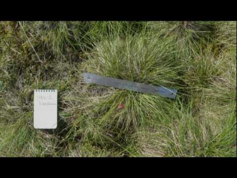 Alaska Fire Orientation - Part 05: Fuels & Fire Behavior