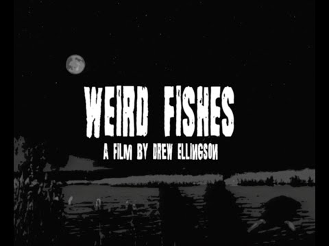 Weird Fishes (2024 Short Horror FIlm)