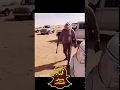 الشايب روع الشيبان 