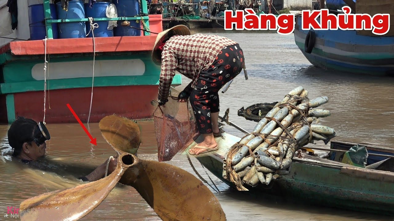 Thợ Lặn Mò Được Chân Vịt Dưới Lường Tàu Cá Khủng. 