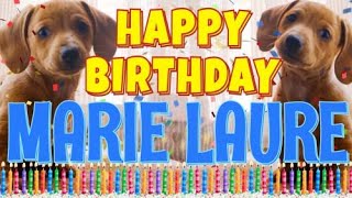 Marie Laure What Is Free On My Birthday
