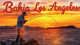 Every Cast Got Hit on Baja’s Legendary Shoreline