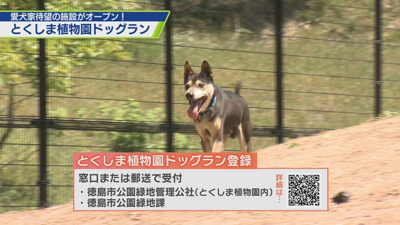 Tokushima Botanical Garden Dog Run Now Open! [Television Tokushima