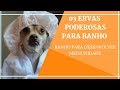 03 ERVAS PODEROSAS - BANHO PARA DESENVOLVER A MEDIUNIDADE - UMBANDA