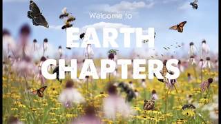 Earth Chapter 4:  Regenerative lawns & how to save pollinators