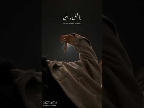 ليلي يا ليل يا ليلي يا ليل يا ليلي من غرامه ليلي طال فلسطين حرة