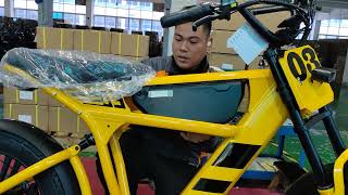 Ft-03 Electric Bike 750W 48V 18.2Ah Battery E-Bike Electric Bicycle 25Kmh