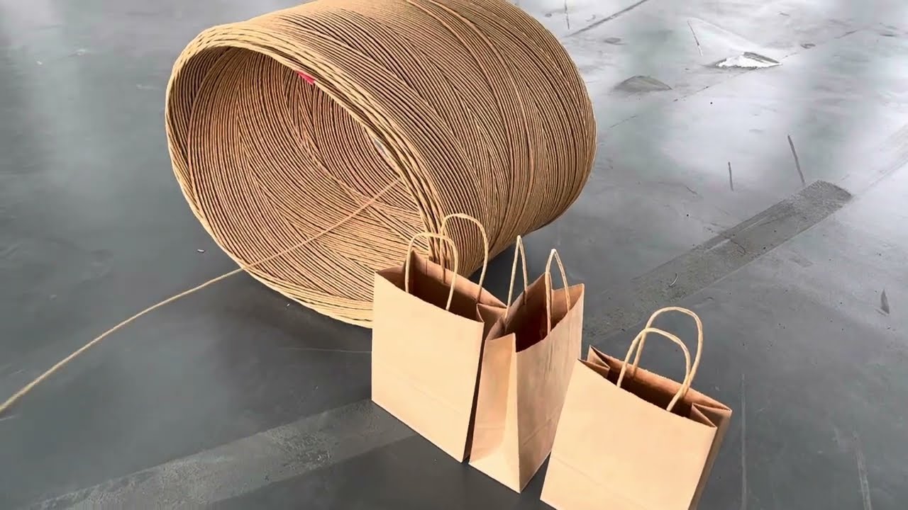 fully-auto twisted handle shopping paper bag machine new technology updated