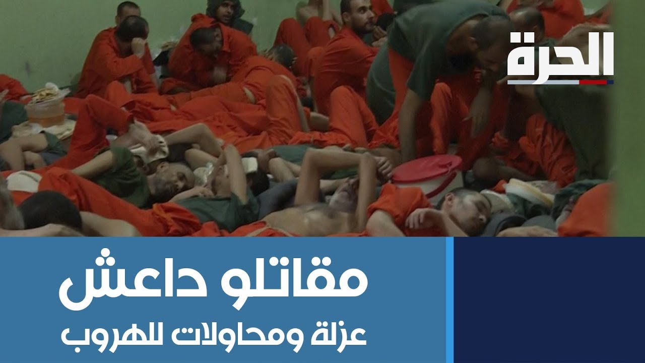 مقاتلو داعش.. عزلة ومحاولات للهروب