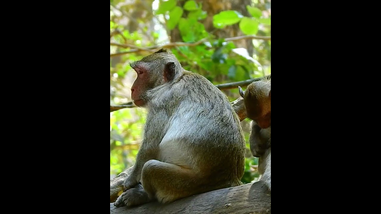 Jane Is So Nice Mother 1