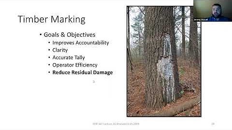 Silviculture for Timber Management - SFA Silviculture Lecture (FORS 3347)