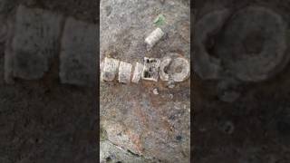 Unearthing a 350 Million Year Old 'Sea Lily' Fossil! Unearthing a 350 Million Year Old 'Sea Lily' Fossil!