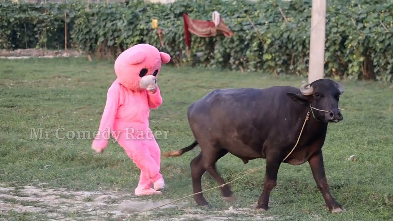 😆Teddy Bear Prank video 