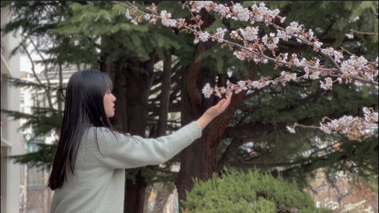 지베뉴(ZIVENEW) - 삼월화 (Winter Plum) Official Music Video