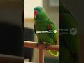 “This Gives Me Power” 😂 Parrot Demands More Coffee | Police Station #Shorts #funny #funnyshorts