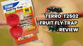 TERRO T2502 Fruit Fly Trap Review (2 Reviews & Actual Results) #fruitfly screenshot 2
