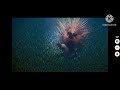 Disney Blu Ray Beyond High Definition Trailer 1 Disney Blu Ray Beyond High Definition Trailer 1