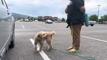 Stacia Hill, lesson 16, exercise 16.3: Video 4 (generalize a portion of your 10-part chain)