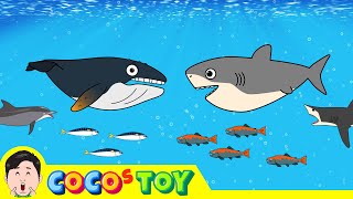 Baby Humpback whale and Bottlenosed dolphinㅣsea animals cartoon for kidsㅣCoCosToy