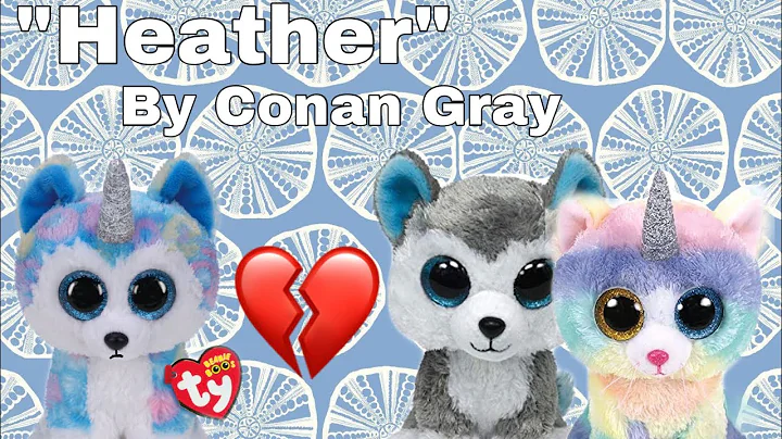 Heather By Conan Gray (Beanie Boo Music Video)