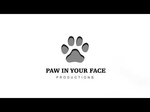 Panda Productions Paw In Your Face Productions CBS Productions 2010 