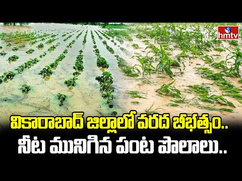 Heavy Rains In Vikarabad :  వికారాబాద్ జిల్లాలో వరద బీభత్సం .. నీట మునిగిన పంట పొలాలు.. | hmtv - HMTVNEWS