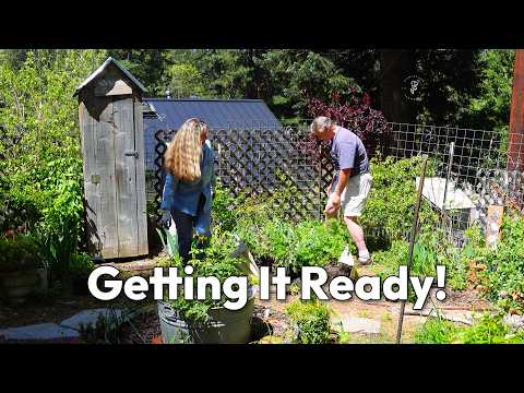 What My Seedlings Look Like Now + Where They’re Going!