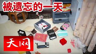 《天网》录像被监控系统自动清零的那一天 究竟是谁潜入了空别墅？20260730