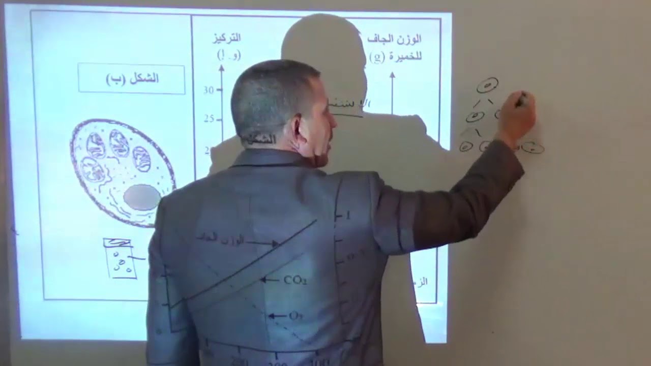 تطبيقات حول التنفس و التخمر باك 2015