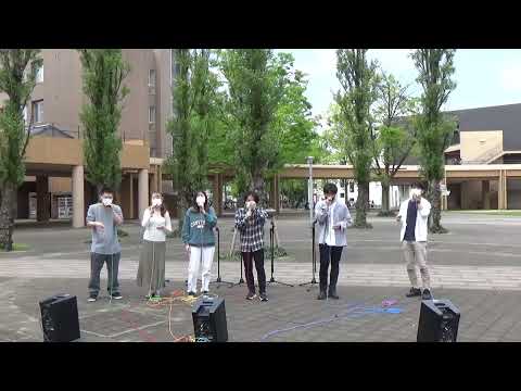 RAIN　モクレン＠新歓ストリートライブ【東京外国語大学LINES】