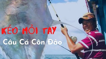 Câu Cá Côn Đảo | Khui Hầm Bí Mật - Kéo Mỏi Tay | Viet Nam Discovery Channel