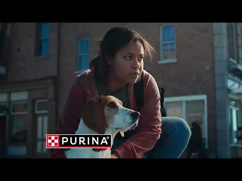 See How Purina Helps Abuse Survivors Escape with Their Pets