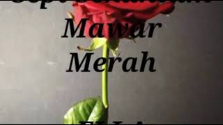 Ella Sepi Sekuntum Mawar Merah   Hd