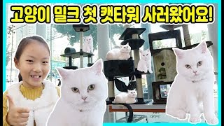고양이 밀크 첫 캣타워 사러 고양이 용품점에 갔어요! 어떤 캣타워를 샀을까요? [사랑아놀자 LOVE&TORY] screenshot 5