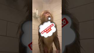 You Won’t Believe This Monkey’s Shower Concert 🤯🐒🎤 #funnyanimals