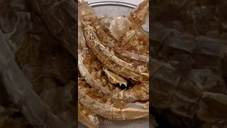 Dinner Timepvhitv7788