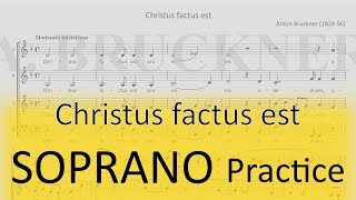 Bruckner / Christus factus est - Soprano practice