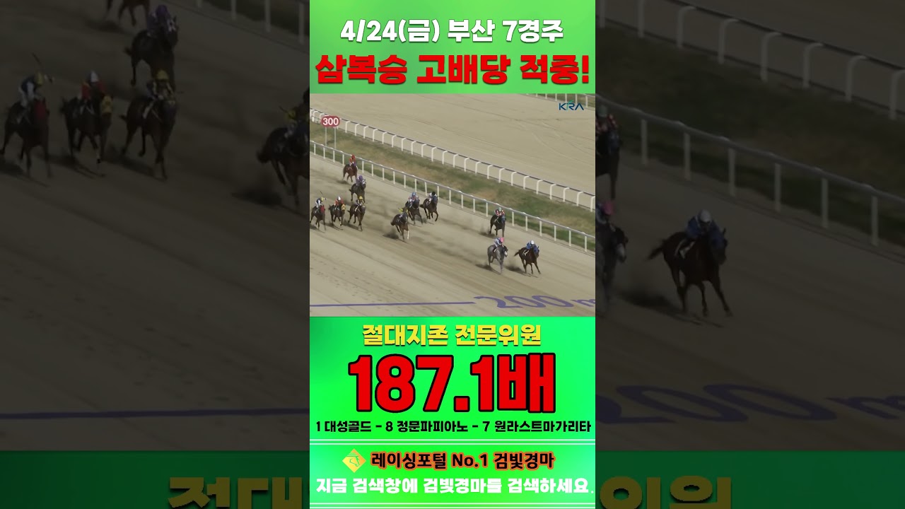 [부산 경마] 4월 24일 금요 7경주 절대지존 전문위원 삼복승 고배당 적중 #경마 #automobile #하이라이트 #horse #한국마사회 #https #게임 #뉴스 #비트코인