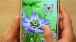 Cute butterflies live wallpaper for Android phones and tablets