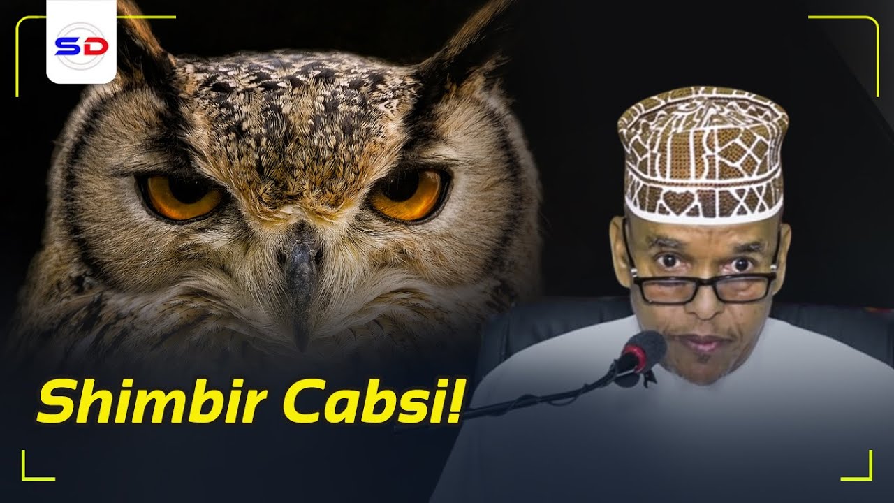 Shimbirta Soomalidu Ka Cabsato Ma Dhabaa In Ay Masiibo Dhacdo Hadii? | Sh Maxamed Ismaaciil